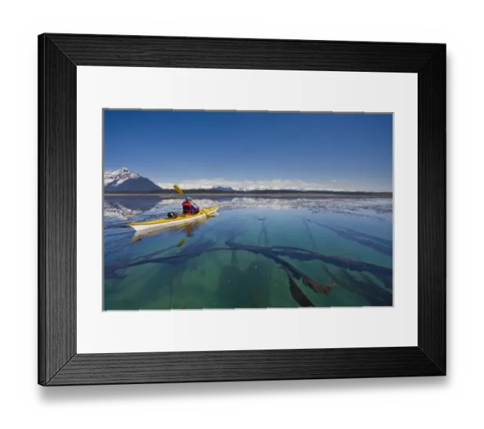 Framed Print : USA, Alaska, Glacier Bay National Park. Woman sea kayaker in Beardsley Island group