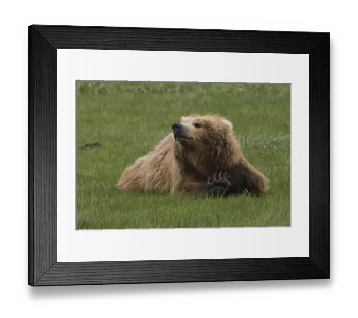 Framed Print : USA, North America, Alaska Framed Print : USA, North America, Alaska