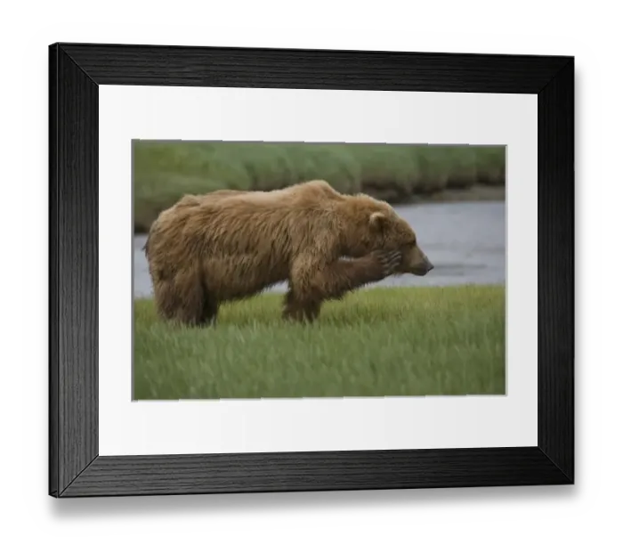 Framed Print : USA, North America, Alaska