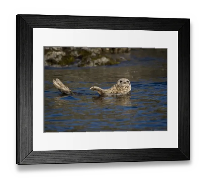 Framed Print : USA, North America, Alaska Framed Print : USA, North America, Alaska