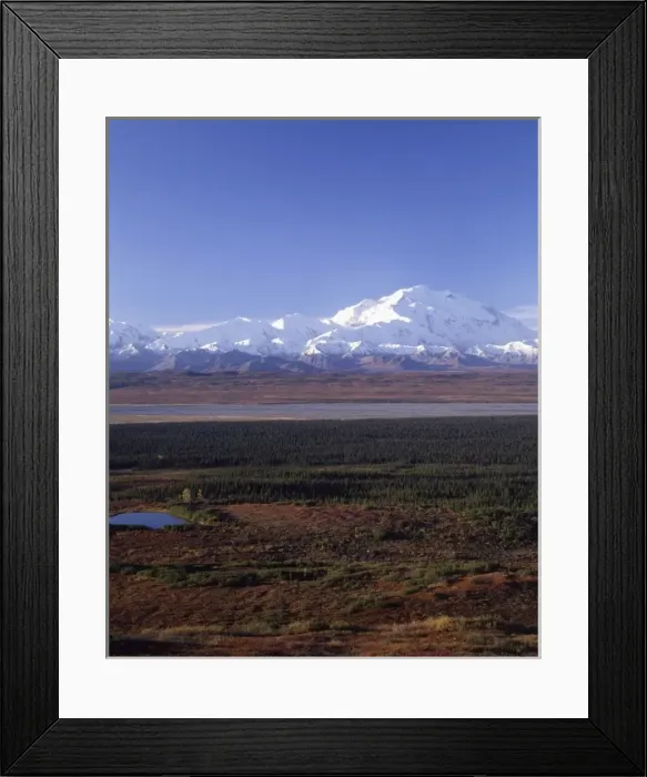 Framed Print : USA, Alaska, Mount McKinley, Fall, Denali National Park