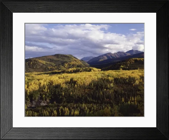 Framed Print : USA, North America, Alaska Framed Print : USA, North America, Alaska