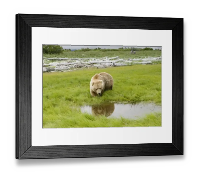 Framed Print : USA, North America, Alaska Framed Print : USA, North America, Alaska