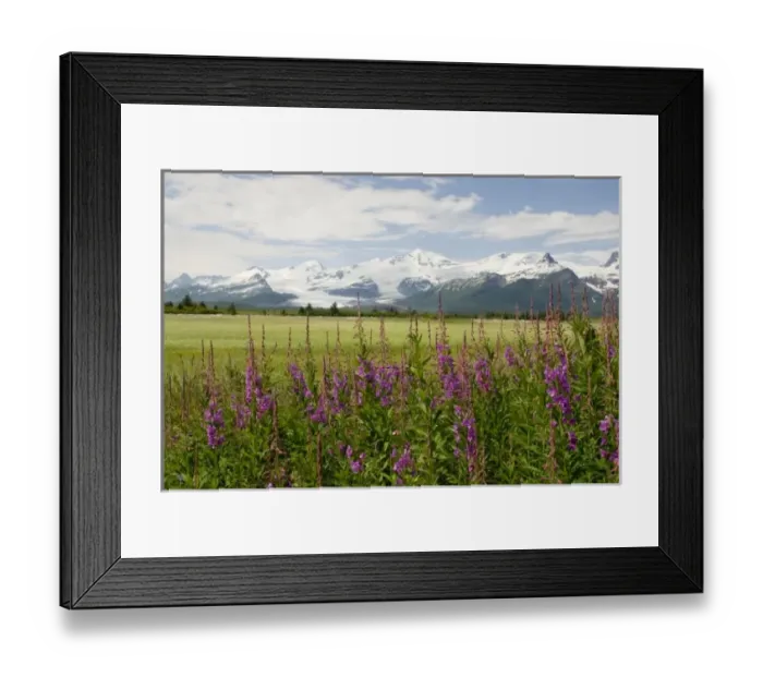 Framed Print : USA, North America, Alaska Framed Print : USA, North America, Alaska