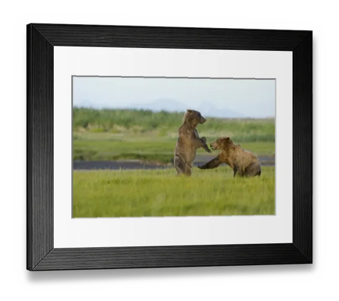 Framed Print : USA, North America, Alaska