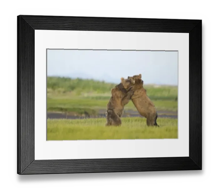 Framed Print : USA, North America, Alaska Framed Print : USA, North America, Alaska