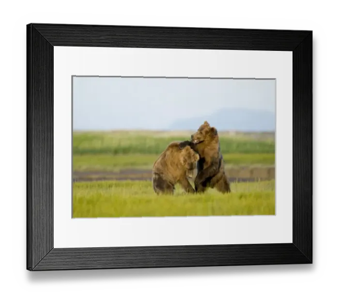 Framed Print : USA, North America, Alaska Framed Print : USA, North America, Alaska