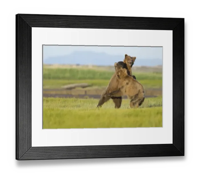 Framed Print : USA, North America, Alaska Framed Print : USA, North America, Alaska