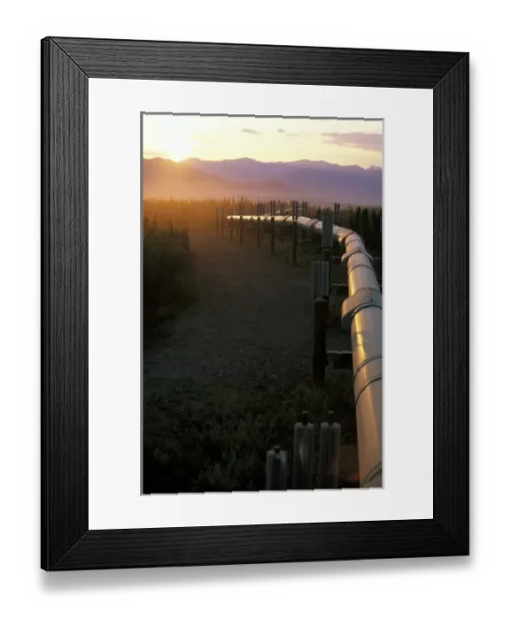 Framed Print : USA, Alaska, Brooks Range. Trans-Alaskan Oil Pipeline reflecting summer sun Framed Print : USA, Alaska, Brooks Range. Trans-Alaskan Oil Pipeline reflecting summer sun