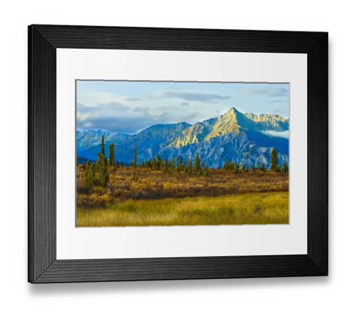 Framed Print : Chugach National Forest, Alaska dressed in its autumn colors Framed Print : Chugach National Forest, Alaska dressed in its autumn colors