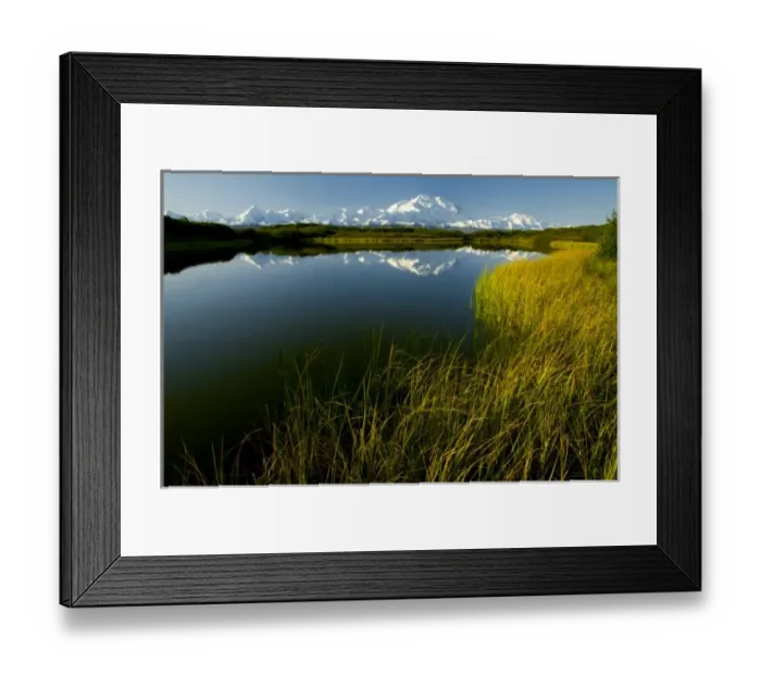 Framed Print : Denali, Mt. Kinley, the highest mountain in North America at over 20, 000 feet rises Framed Print : Denali, Mt. Kinley, the highest mountain in North America at over 20, 000 feet rises