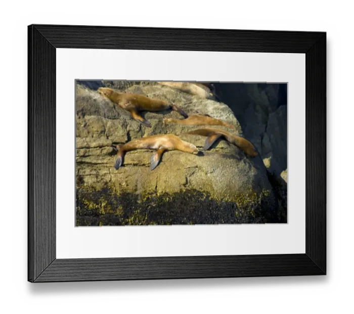 Framed Print : USA, North America, Alaska