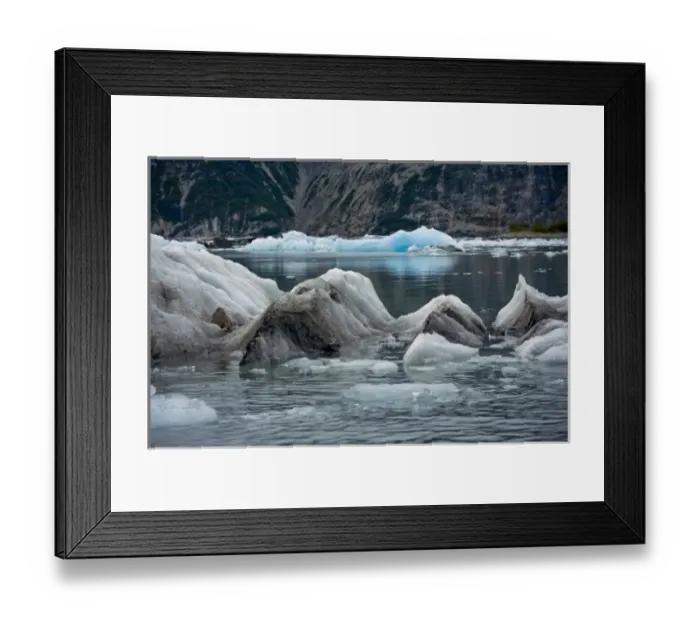 Framed Print : USA, Pacific Northwest, Alaska, Glacier Bay National Park. Floating ice in Muir Inlet Framed Print : USA, Pacific Northwest, Alaska, Glacier Bay National Park. Floating ice in Muir Inlet