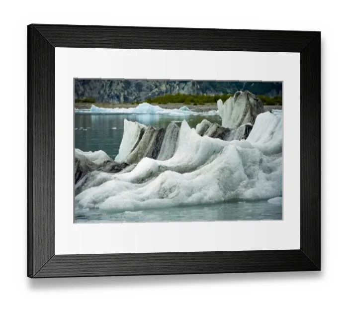 Framed Print : USA, Pacific Northwest, Alaska, Glacier Bay National Park. Floating ice in Muir Inlet Framed Print : USA, Pacific Northwest, Alaska, Glacier Bay National Park. Floating ice in Muir Inlet