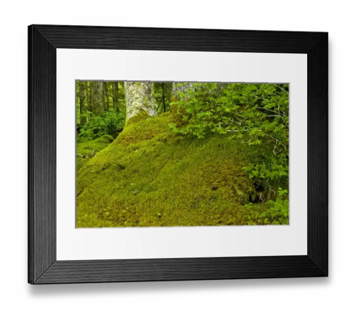 Framed Print : USA, North America, Alaska Framed Print : USA, North America, Alaska