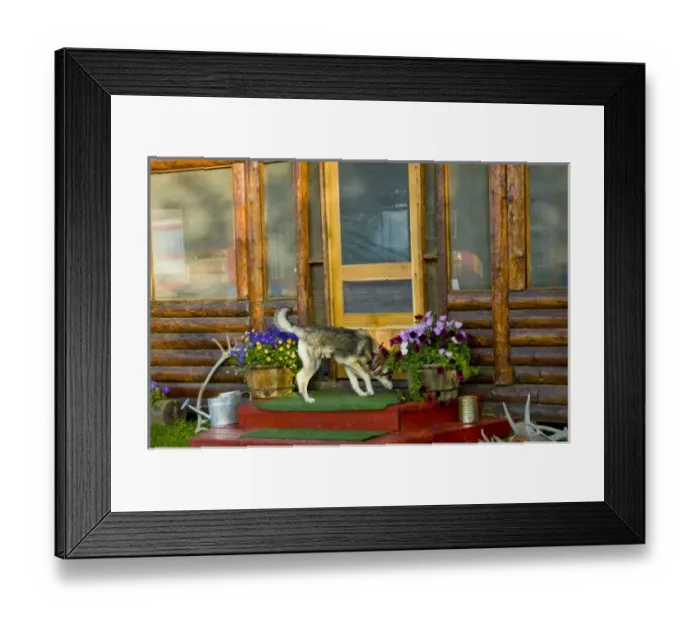Framed Print : USA, North America, Alaska Framed Print : USA, North America, Alaska