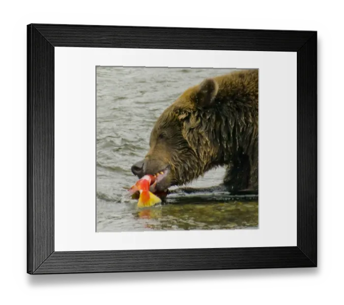 Framed Print : USA, North America, Alaska Framed Print : USA, North America, Alaska