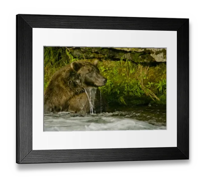 Framed Print : USA, North America, Alaska