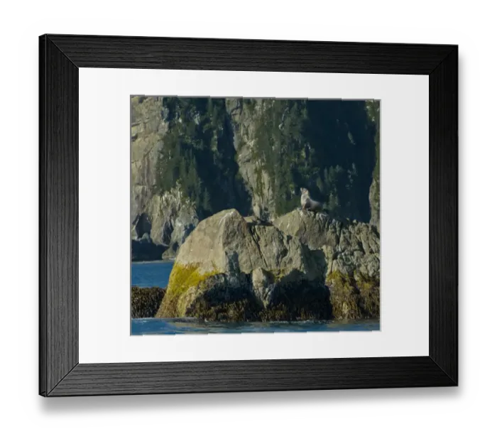 Framed Print : USA, North America, Alaska Framed Print : USA, North America, Alaska