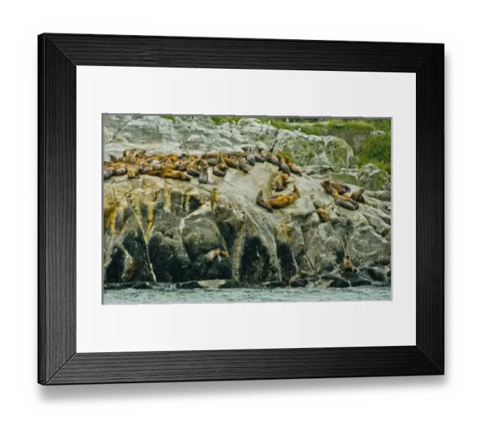 Framed Print : USA, North America, Alaska Framed Print : USA, North America, Alaska