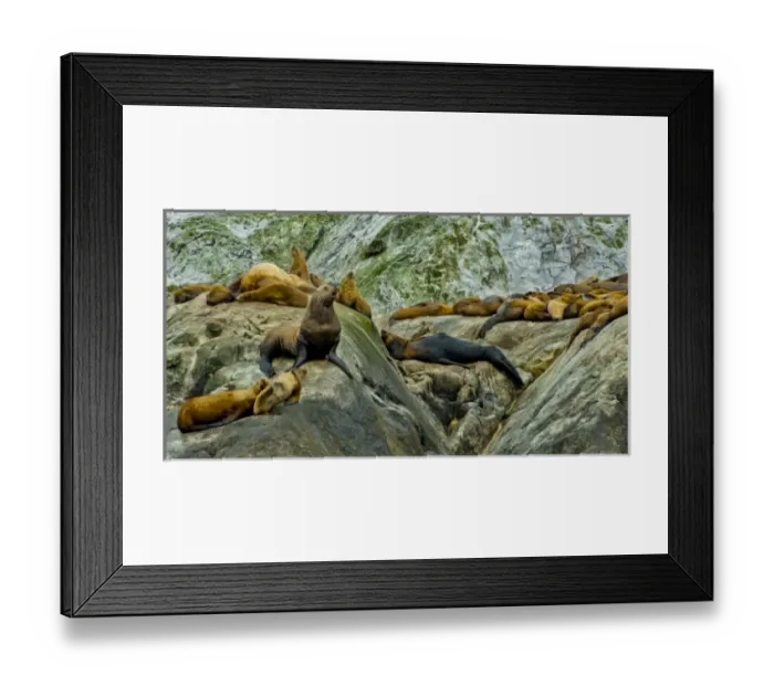 Framed Print : USA, North America, Alaska Framed Print : USA, North America, Alaska