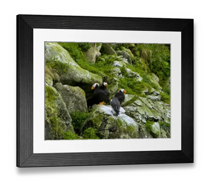 Framed Print : USA, North America, Alaska Framed Print : USA, North America, Alaska