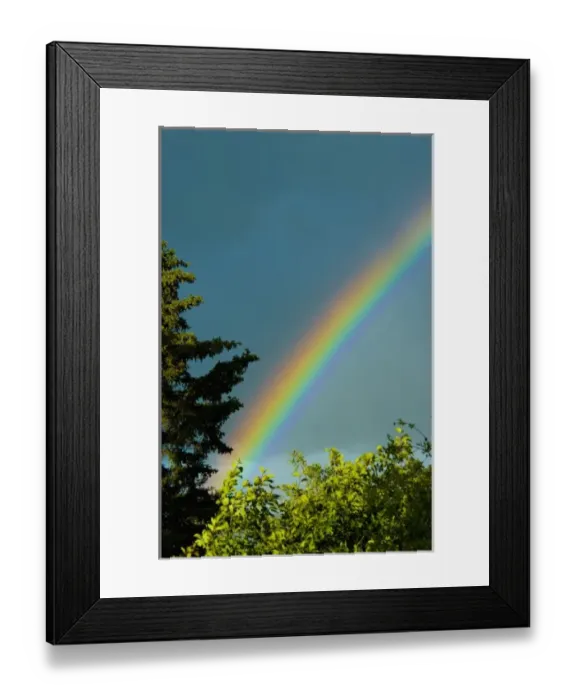 Framed Print : USA, Pacific Northwest, Alaska, Katmai National Park. Along the shores of Naknek lake