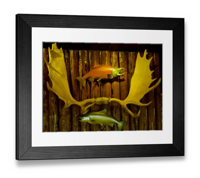 Framed Print : USA, North America, Alaska Framed Print : USA, North America, Alaska