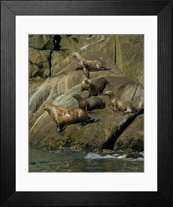 Framed Print : USA, North America, Alaska