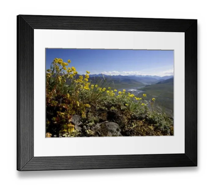 Framed Print : View of the Kongakut River Valley, looking south towards the Brooks Mountain Range