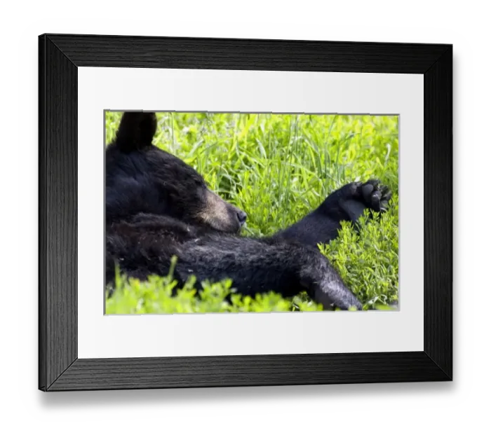 Framed Print : USA, North America, Alaska Framed Print : USA, North America, Alaska