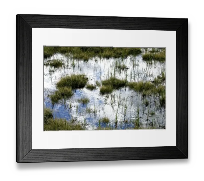 Framed Print : Blue sky and clouds reflect in the water of an arctic bog with tussocks of grass