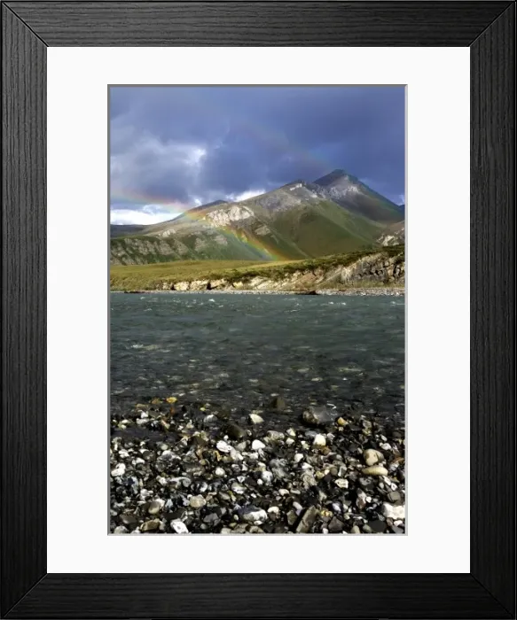 Framed Print : A double rainbow arches over the Kongakut river landcapse - Arctic National Wildlife Framed Print : A double rainbow arches over the Kongakut river landcapse - Arctic National Wildlife