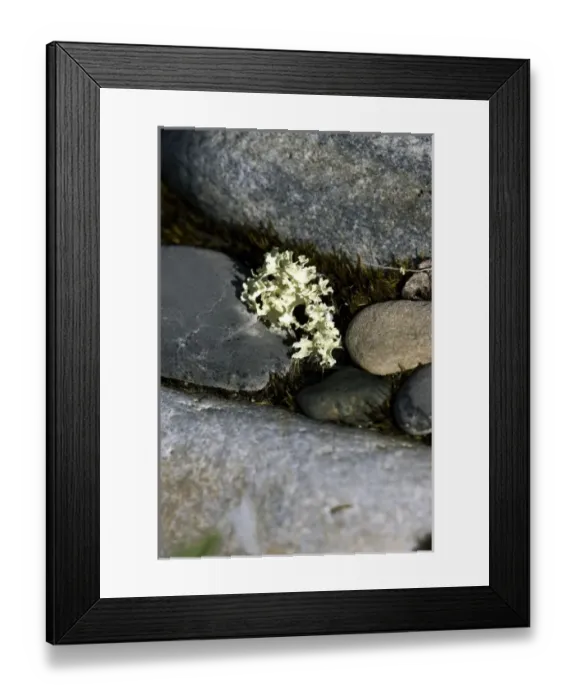 Framed Print : USA, North America, Alaska