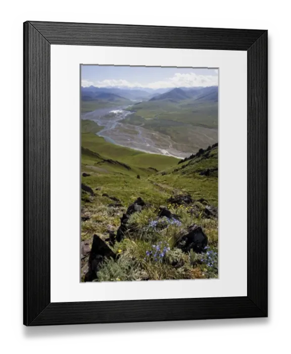 Framed Print : Caribou Pass and Kongakut River Valley - Arctic National Wildlife Refuge, Alaska