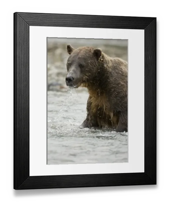 Framed Print : USA, North America, Alaska
