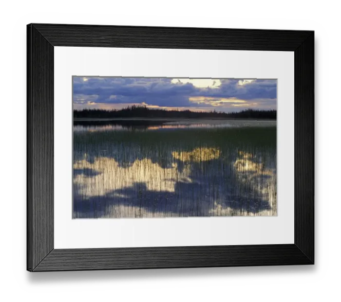 Framed Print : Deadman Lake, Tetlin NWR, AK. Clouds reflect in the lake - part of the 400000+ acres of Tetlin N Framed Print : Deadman Lake, Tetlin NWR, AK. Clouds reflect in the lake - part of the 400000+ acres of Tetlin N