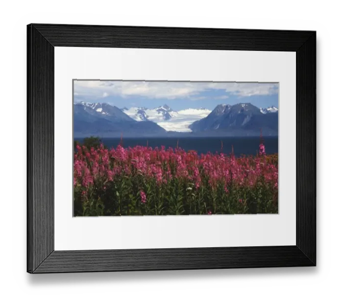 Framed Print : Grewingk Glacier, Katchemak Bay, Homer, AK Framed Print : Grewingk Glacier, Katchemak Bay, Homer, AK