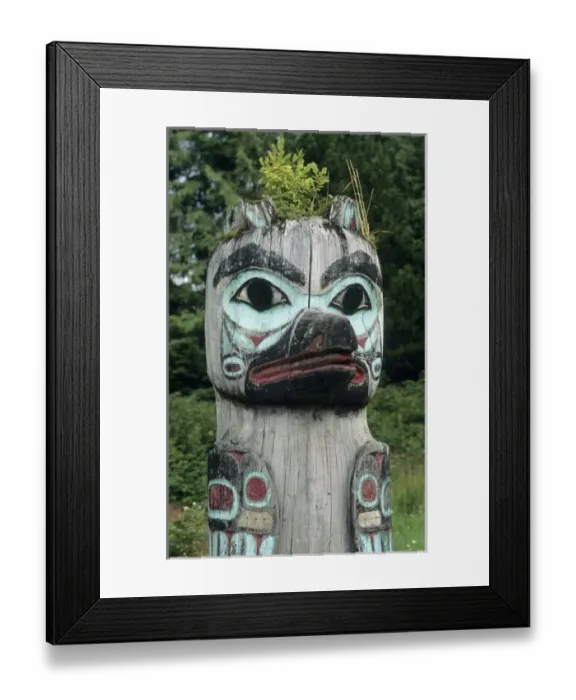 Framed Print : USA, North America, Alaska Framed Print : USA, North America, Alaska