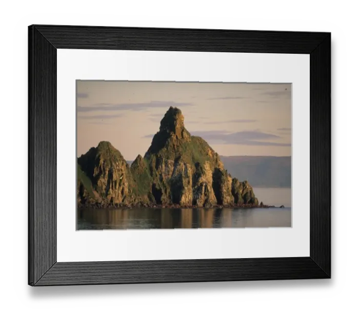 Framed Print : Alaska, Round Island, Bristol Bay, Bering Sea, Summer walrus haulout Framed Print : Alaska, Round Island, Bristol Bay, Bering Sea, Summer walrus haulout