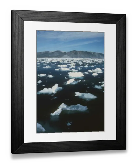 Framed Print : USA, Alaska, Bering Sea, St. Matthews Island, Bull Seal Bay with melting sea ice