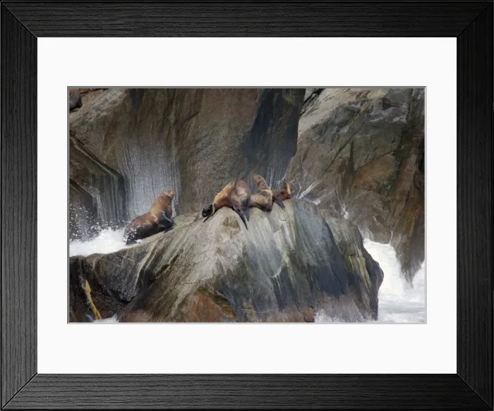 Framed Print : USA, North America, Alaska Framed Print : USA, North America, Alaska