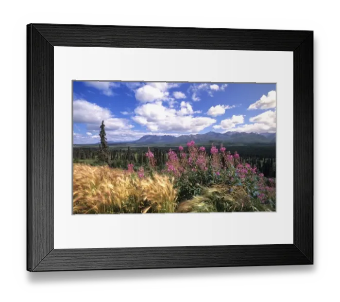 Framed Print : Chugach Mountains, Alaska, USA Framed Print : Chugach Mountains, Alaska, USA