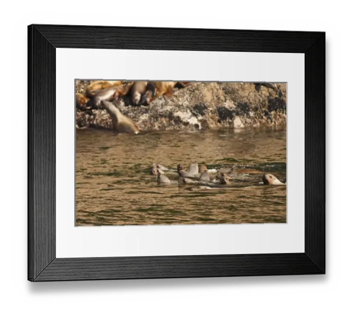 Framed Print : USA, North America, Alaska Framed Print : USA, North America, Alaska