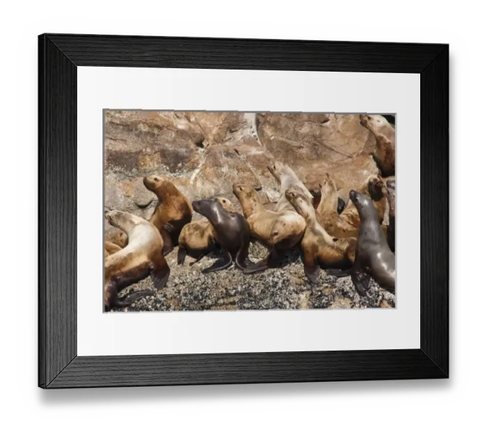 Framed Print : USA, North America, Alaska Framed Print : USA, North America, Alaska