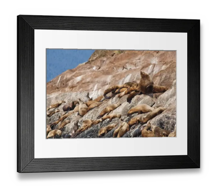 Framed Print : USA, North America, Alaska Framed Print : USA, North America, Alaska