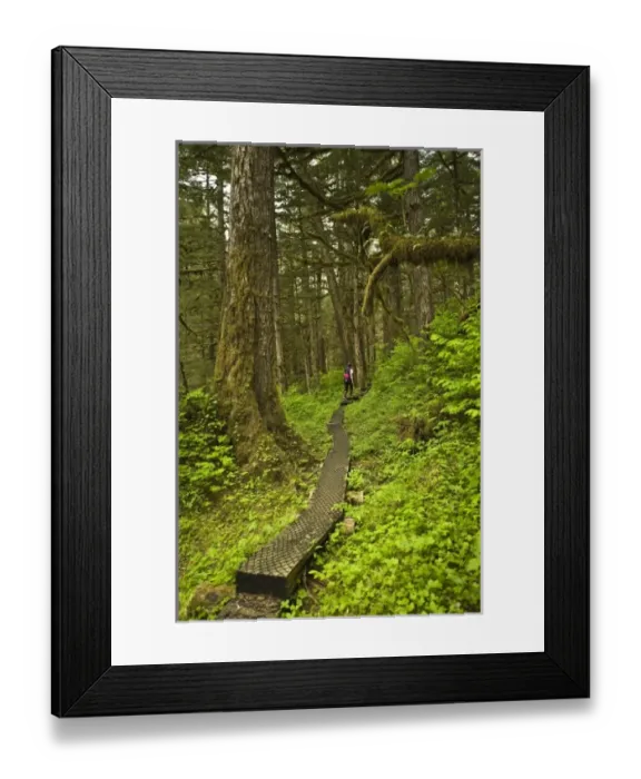 Framed Print : USA, North America, Alaska Framed Print : USA, North America, Alaska