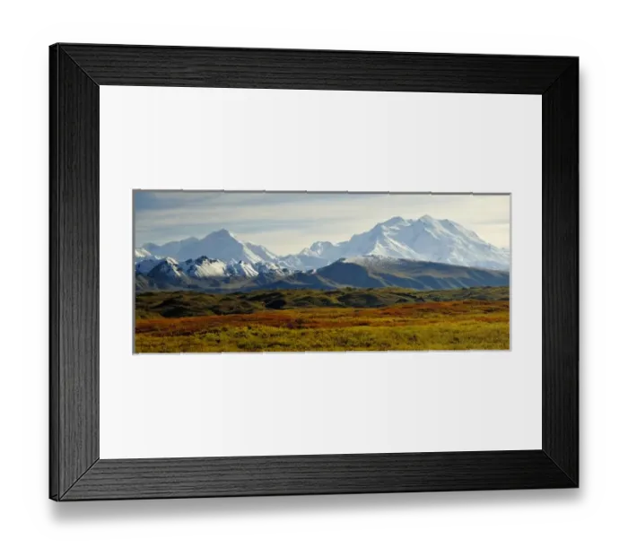 Framed Print : Fall tundra fronts Denali and other snow-capped peaks in the Alaska Range Framed Print : Fall tundra fronts Denali and other snow-capped peaks in the Alaska Range