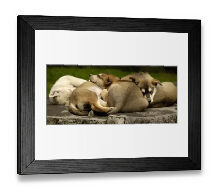 Framed Print : USA, North America, Alaska Framed Print : USA, North America, Alaska