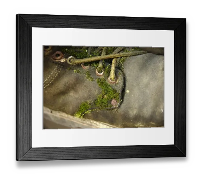 Framed Print : USA, North America, Alaska Framed Print : USA, North America, Alaska